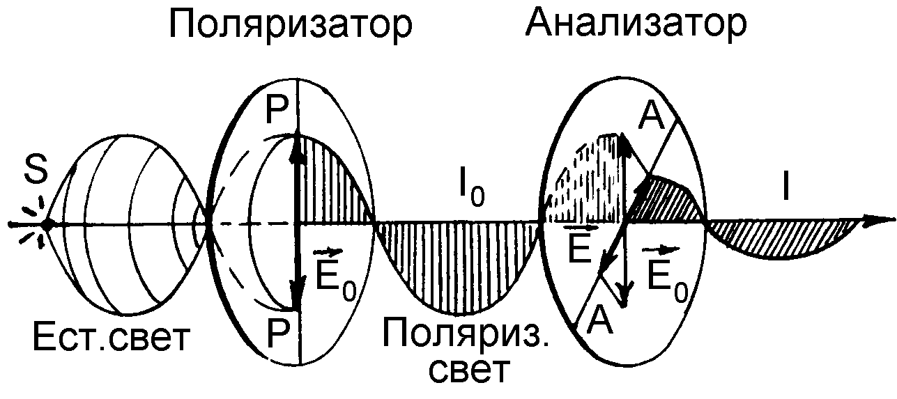 Анализатор света. Поляризатор анализатор схема. Анализатор поляризации света. Ход лучей через поляризатор и анализатор. Схема лучей через поляризатор и анализатор.