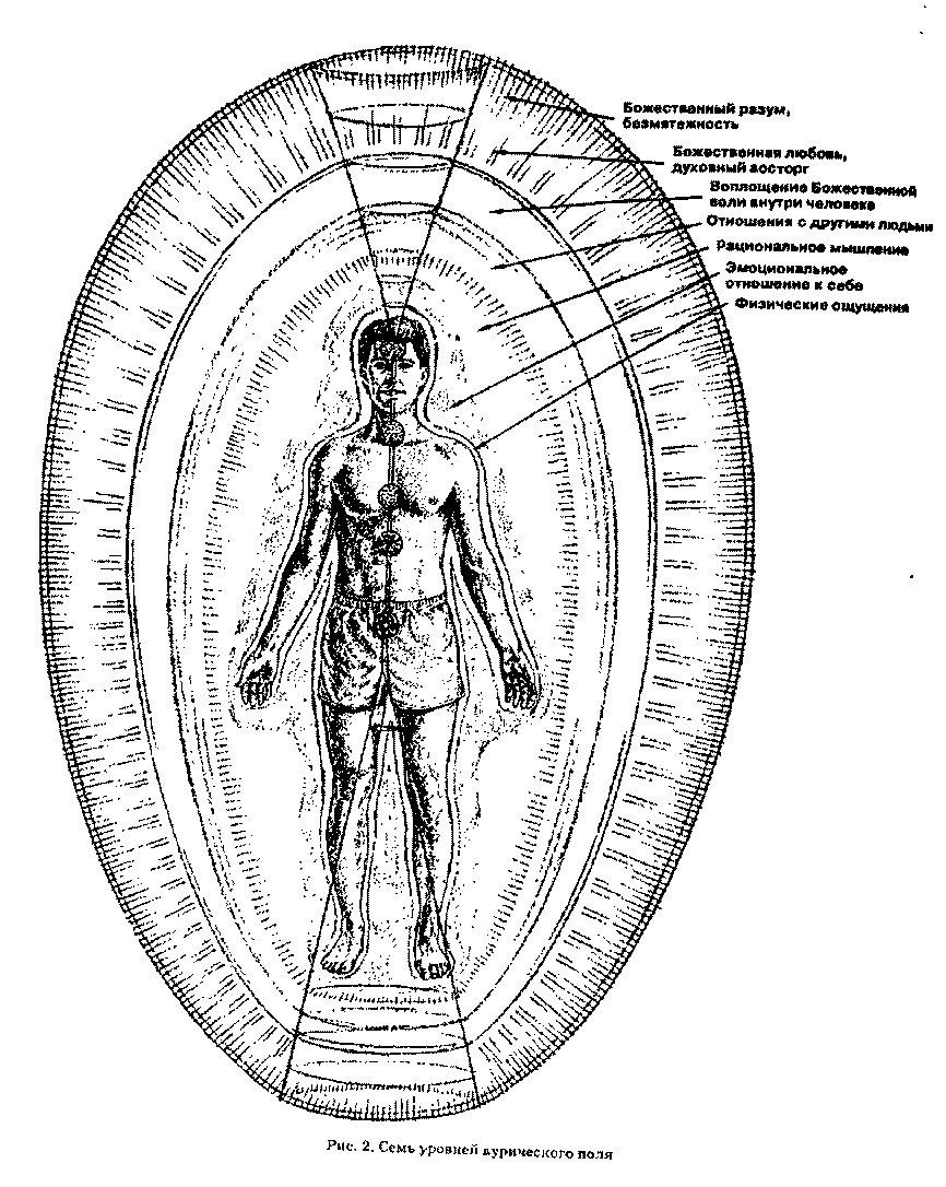 Тело седьмой. Аура Барбара Бреннан Аура человека. Энергетические потоки человека. Энергетический кокон человека. Биополе человека.