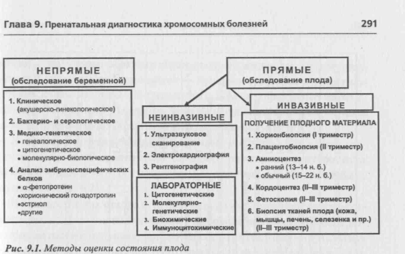 Дополнительные методы исследования внутриутробного состояния плода презентация