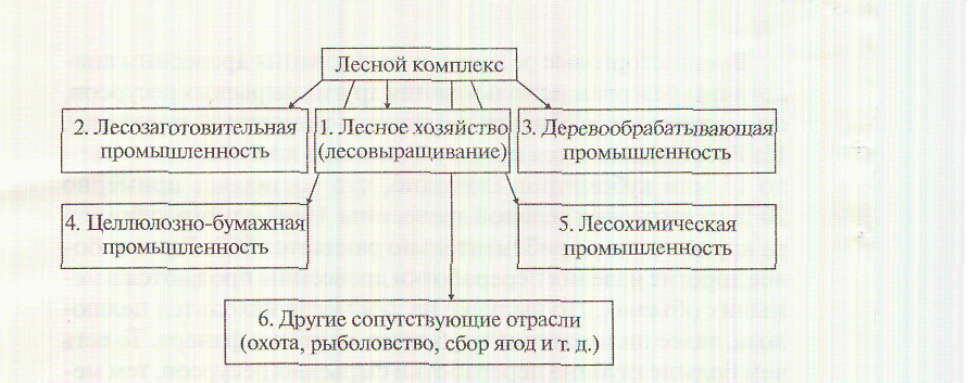 Схема лесной промышленности