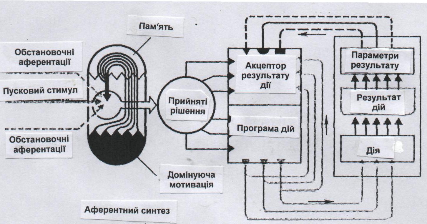 Схема фус поведенческого акта