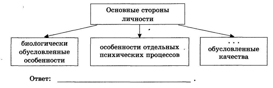 Какое слово пропущено в схеме социальный личности права обязанности